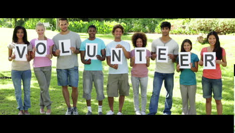 groups of volunteers