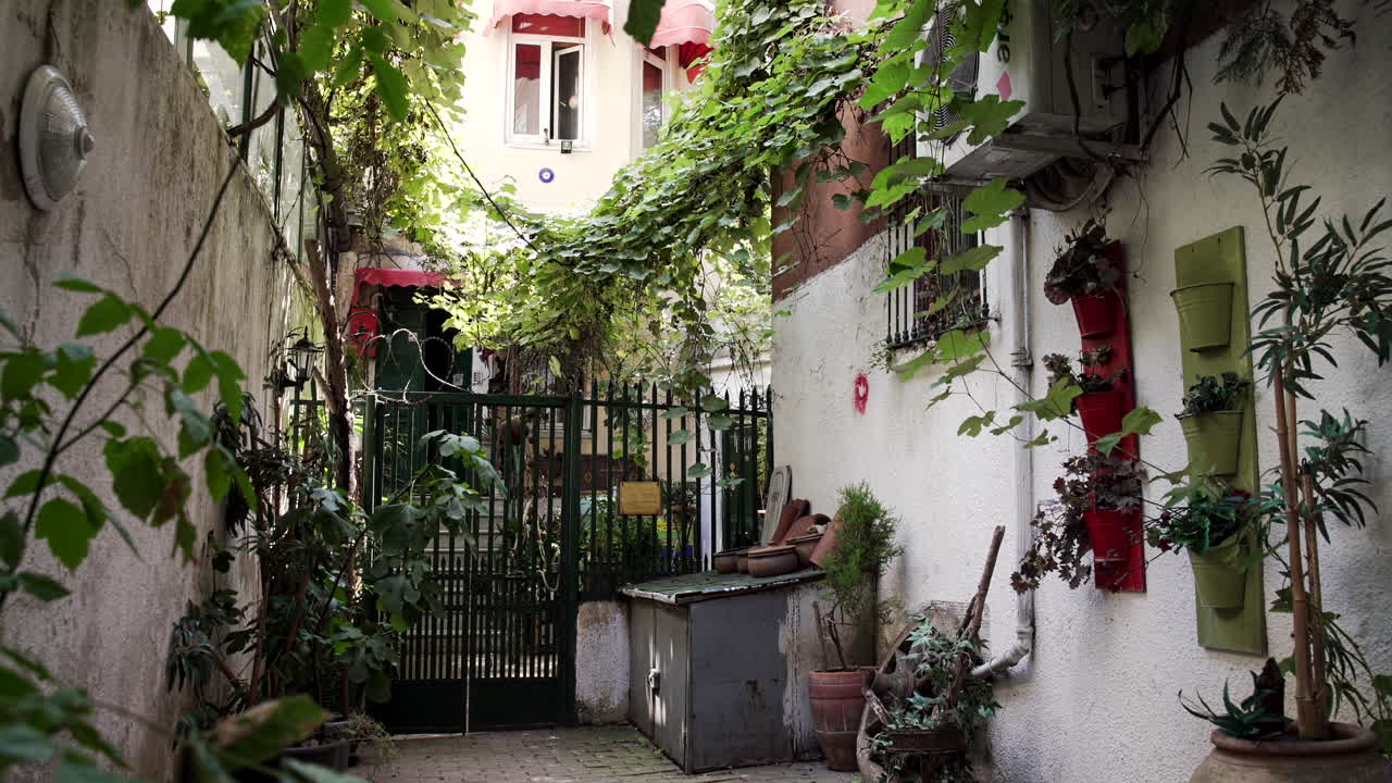 Casa graziosa con piante nelle strade di Istanbul.