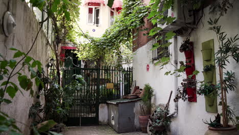 Süßes-Haus-Mit-Pflanzen-In-Den-Straßen-Von-Istanbul