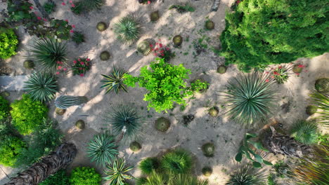 botanical mediterranean garden aerial top shot