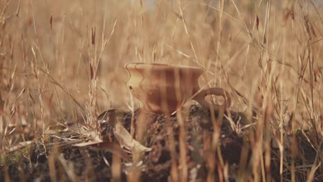 un primer plano de una hermosa olla de arcilla con un mango colocado sobre una roca bajo el sol caliente rodeada de hierba seca en un campo