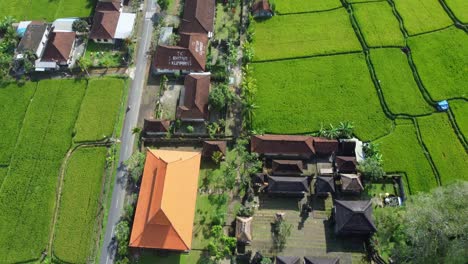 balinese charm from above: 4k drone view of ubud, bali