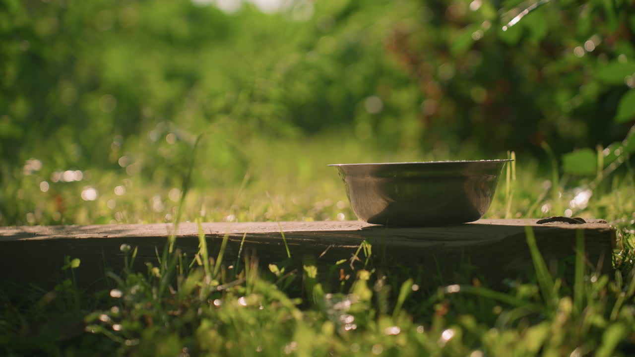 은 날에 울창한 초록색과 부드러운 흔들리는 잎을 특징으로하는 흐릿한 배경으로 자연의 야외 환경에서 나무판에 놓인 금속 그