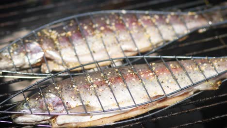 Tasty-whole-fishes-placed-on-barbecue-grill