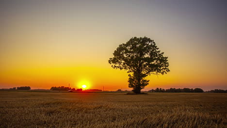 Ein-Parkplatz-In-Der-Nähe-Einer-Isolierten-Baumsilhouette-Während-Des-Sonnenuntergangs-Bis-Zum-Sonnenaufgang-Auf-Dem-Land