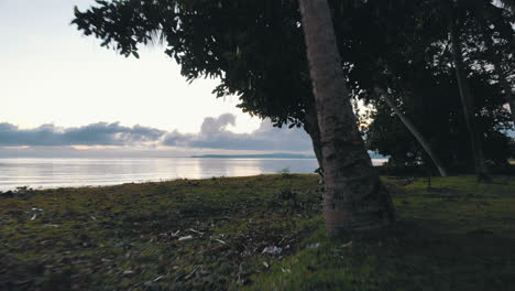 Man-running-through-the-trees