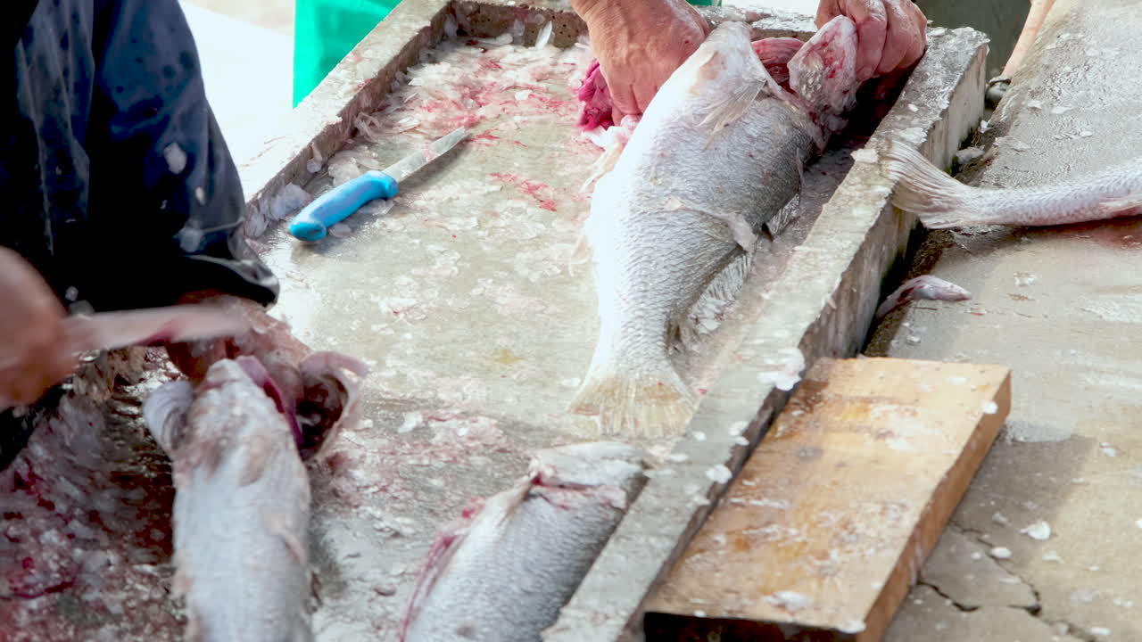 pescado mulloway siendo destripado y escamado en el mercado húmedo del puerto