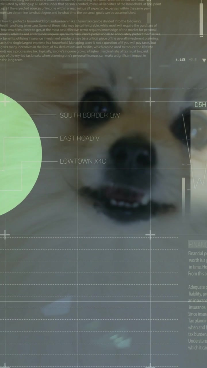 Vertical video: HUD appearing and animating charts while dog shifting head, showing health metrics