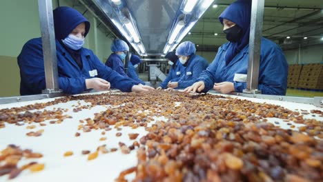 Toma-De-Las-Manos-De-Los-Trabajadores-Limpiando-Las-Uvas-En-La-Mesa-De-Clasificación