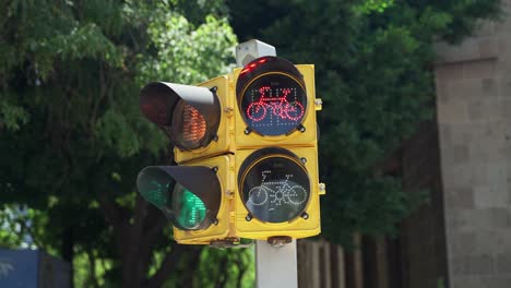 Icono-De-Bicicleta-Roja-En-El-Semáforo-En-La-Ciudad-De-México