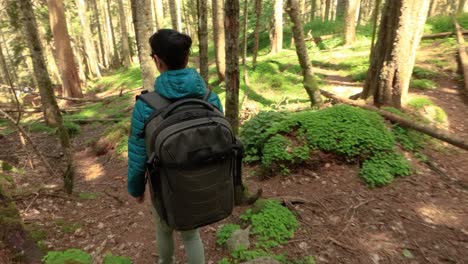 mujer caminando con una mochila de senderismo en el bosque verde de primavera