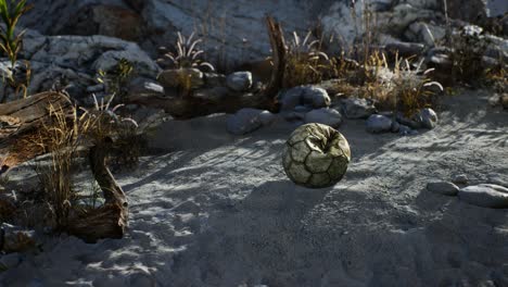 Una-Vieja-Pelota-De-Fútbol-Rota-Tirada-Yace-En-La-Arena-De-La-Playa-Del-Mar