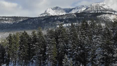 Aerial-forward-over-snowy-coniferous-forest-with-mountain-in-background,-Golden,-British-Columbia-in-Canada