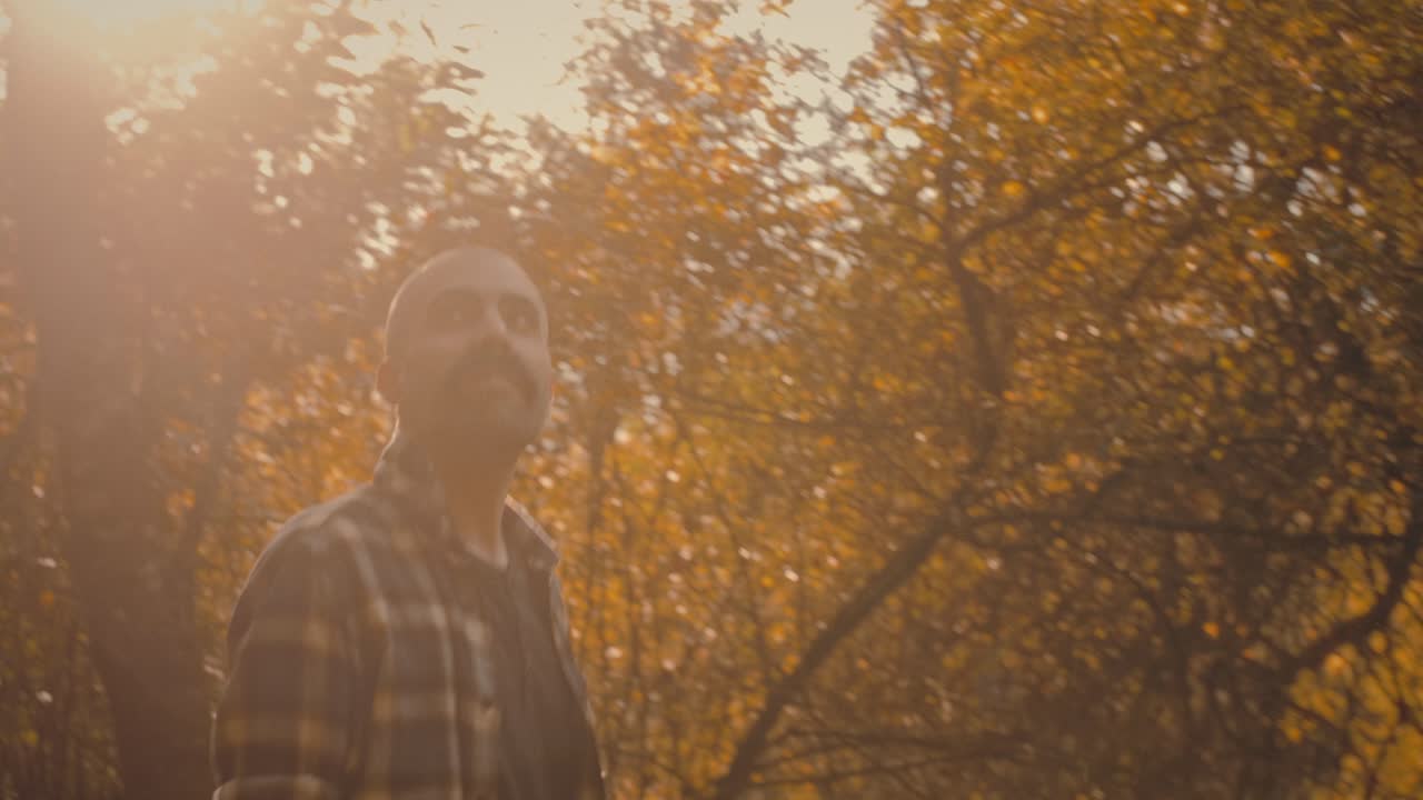 Man walks in forest on sunny autumn day, admiring trees and leaves. He breathes fresh air. Peaceful and cozy nature clip.