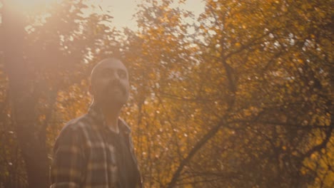 man walks in forest on sunny autumn day, admiring trees and leaves. he breathes fresh air. peaceful and cozy nature clip.
