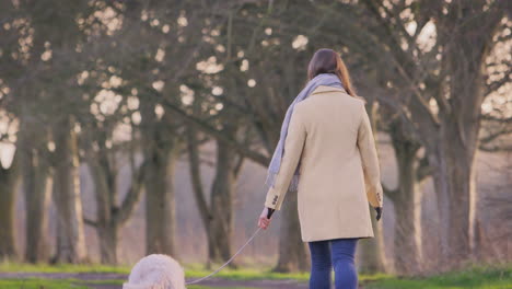 rear view of woman with prosthetic hand walking pet dog through winter or autumn countryside