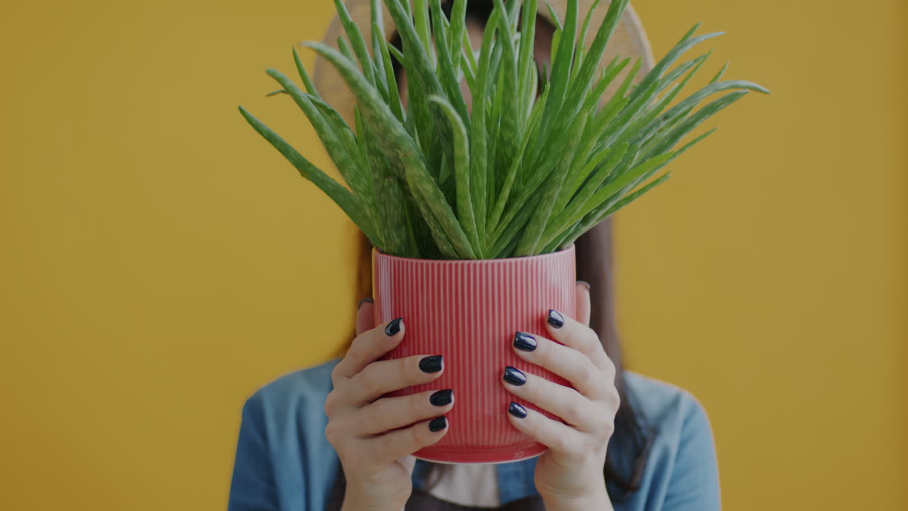 Woman Holding Aloe Vera Plant