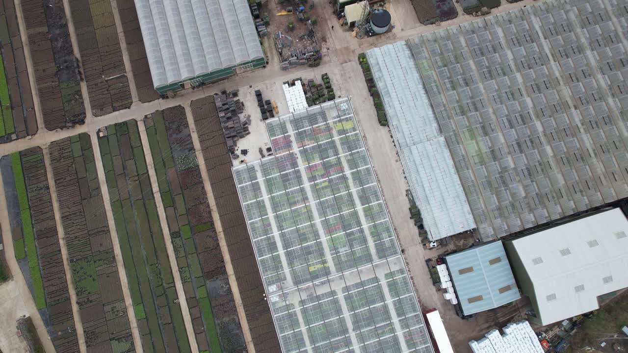 vivero de flores y plantas planta al por mayor essex inglaterra de arriba hacia abajo imágenes aéreas de drones