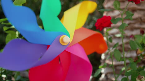 Pinwheel-spinning-blown-by-the-wind---a-rose-in-the-background---slowmo