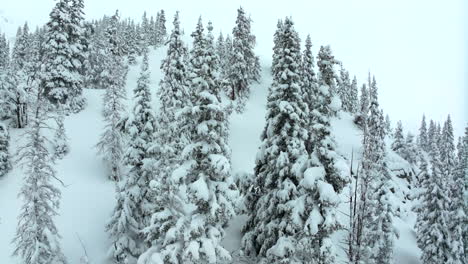 Tiefer-Pulverschnee,-Filmische-Luftaufnahme,-Skigebiet-Colorado-Loveland,-Eisenhower-Tunnel,-Coon-Hill,-Hinterland,-I70,-Schwerer-Winter,-Frühlingsschnee,-Kontinentale-Wasserscheide,-Felsige-Berge,-Decke,-Kreisende-Kiefern