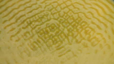 foto superior macro de líquido amarillo moviéndose y formando diferentes patrones cimáticos