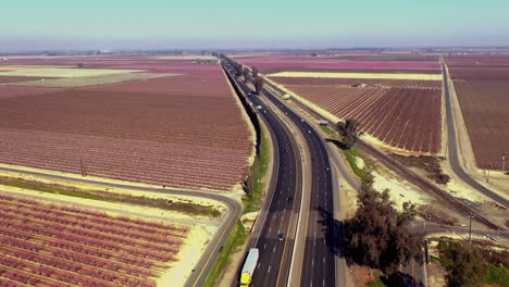 autopista 99 en el centro de california rodeada de flores de almendro rosa, vista aérea