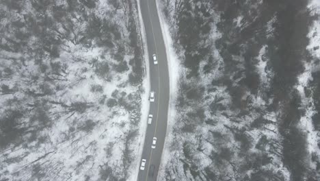 Snow-Foggy-Road