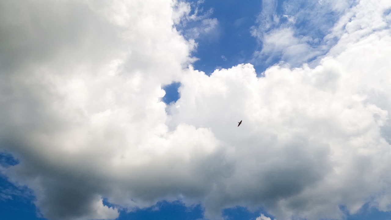 Adorable cotton soft clouds in the azure summer ski. Cumulus cloudscape transformation low angle view. Timelapse.