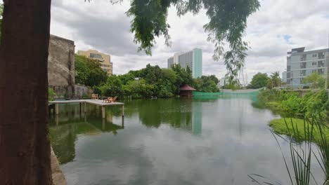 scenic view overlooking a lake at a cafe in the city of bangkok thailand next to a tree with green surroundings