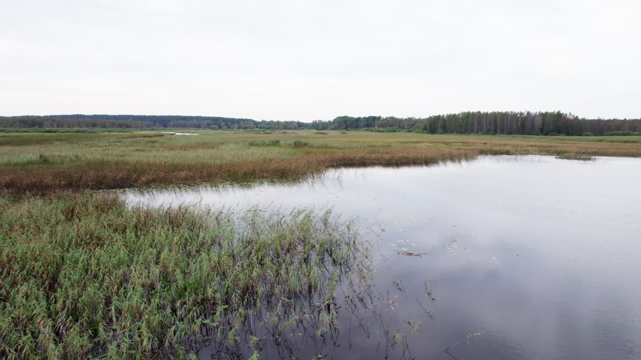 Klar sø med græs, dronepanorering til højre, skov baggrund