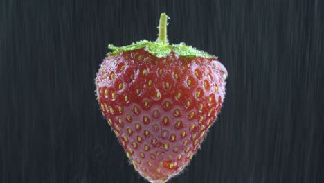 delicious strawberry rotates under water drops. on a black background