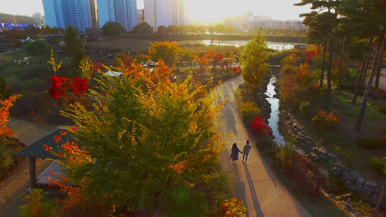 Lovers walking in a park with autumn leaves, drone full shot