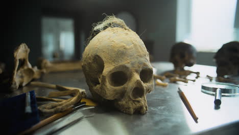 dusty skull and bones in a laboratory