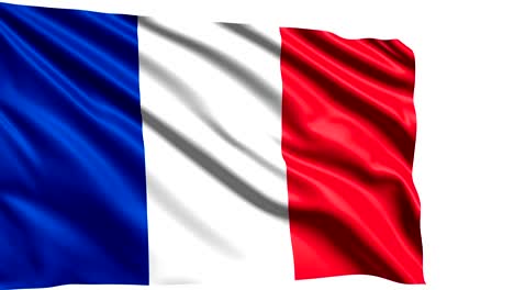 bandera de francia (en bucle, canal alfa)