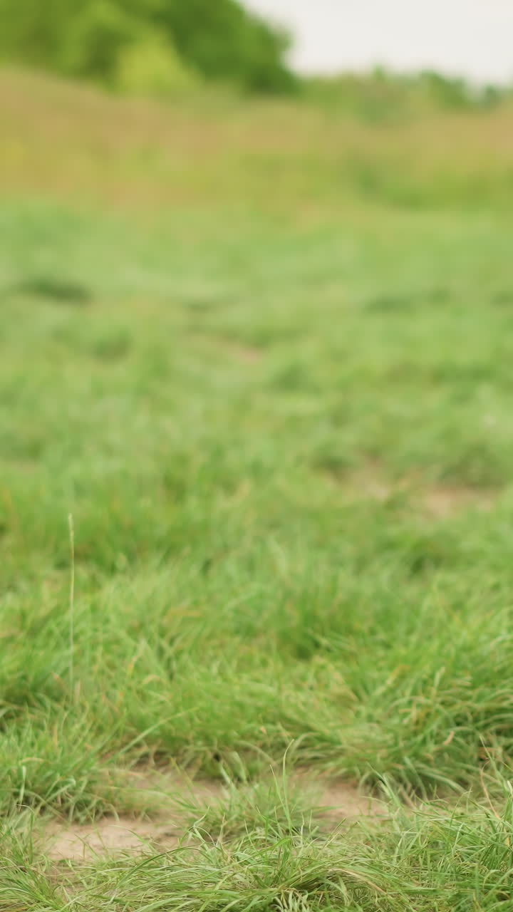 A black portable chair stands alone on vibrant green grass, with a woman in a white dress partially visible, enhancing the tranquil outdoor setting