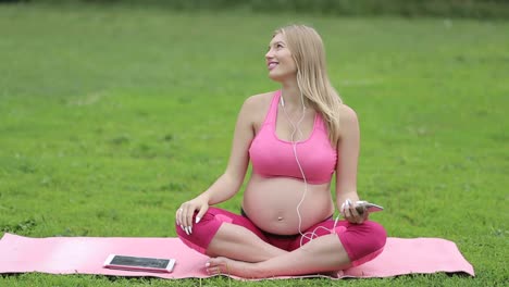 pregnant woman in sportswear doing yoga on deer grass pregnant woman in sportswear doing yoga on deer grass mother and child health concept and meditation practice