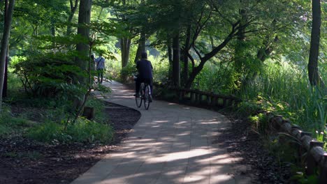 the bicycle is one of the most used transports in tokyo