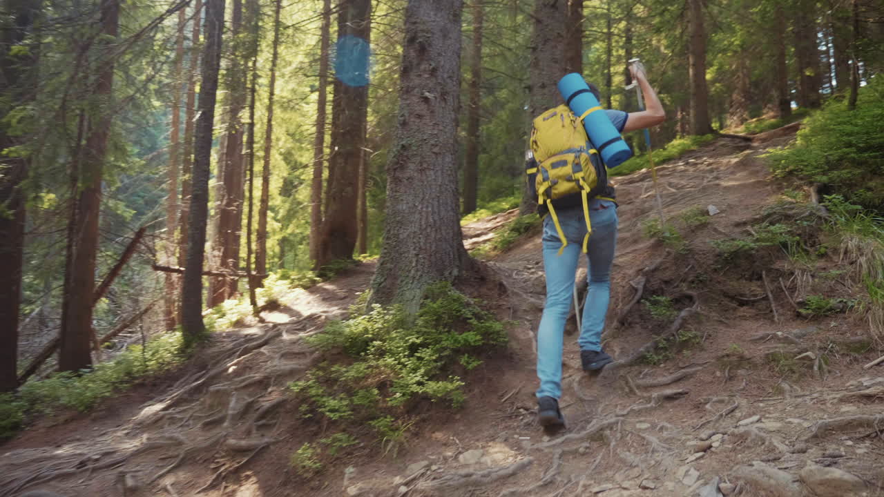 un joven con un bastón de trekking y una mochila sube la colina el sol brilla maravillosamente sigue