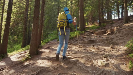 a young man with a trekking stick and a backpack rises up the hill the sun shines beautifully follow