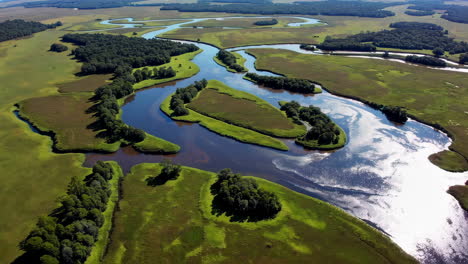aerial view of a winding river through a lush green landscape