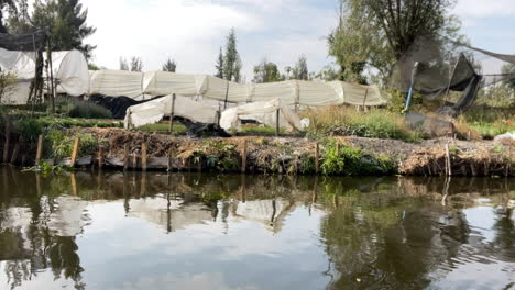 shot of abandoned chinampas in xochimilco, mexico city