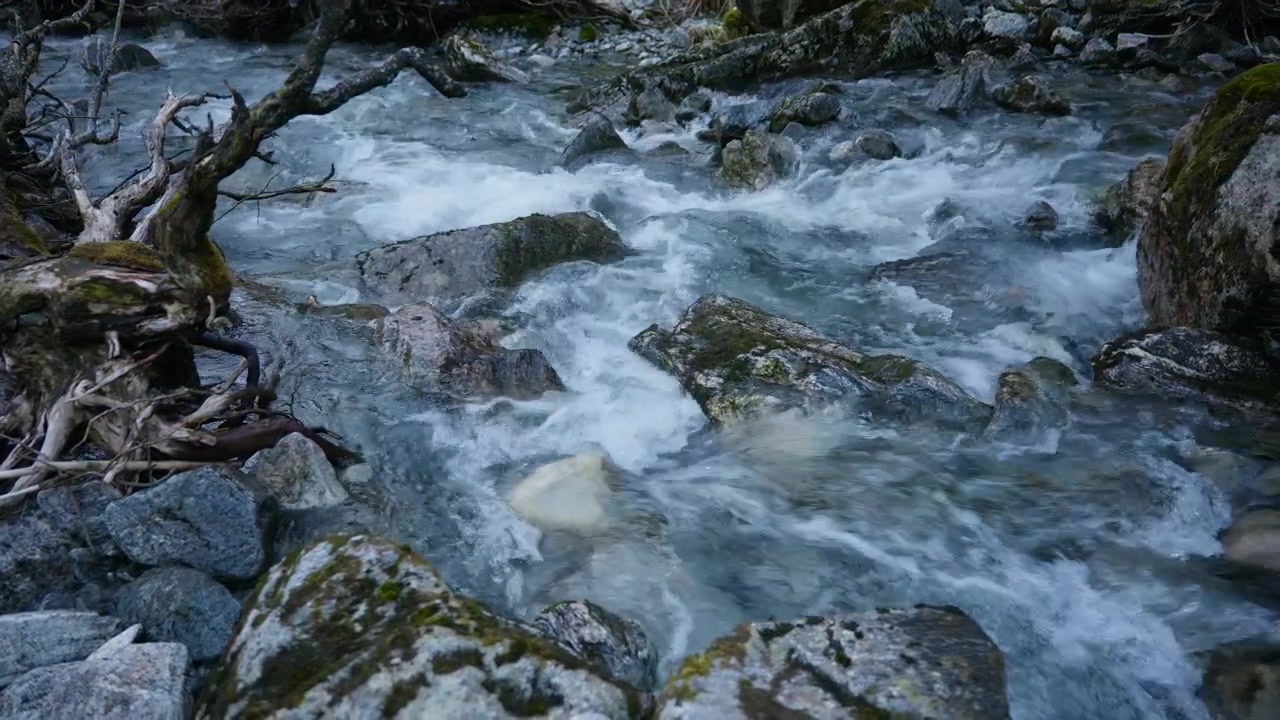 Un ruscello impetuoso scende a cascata su rocce coperte di muschio in una foresta norvegese. Il movimento dinamico lo rende ideale per documentari sulla natura o progetti ambientali.