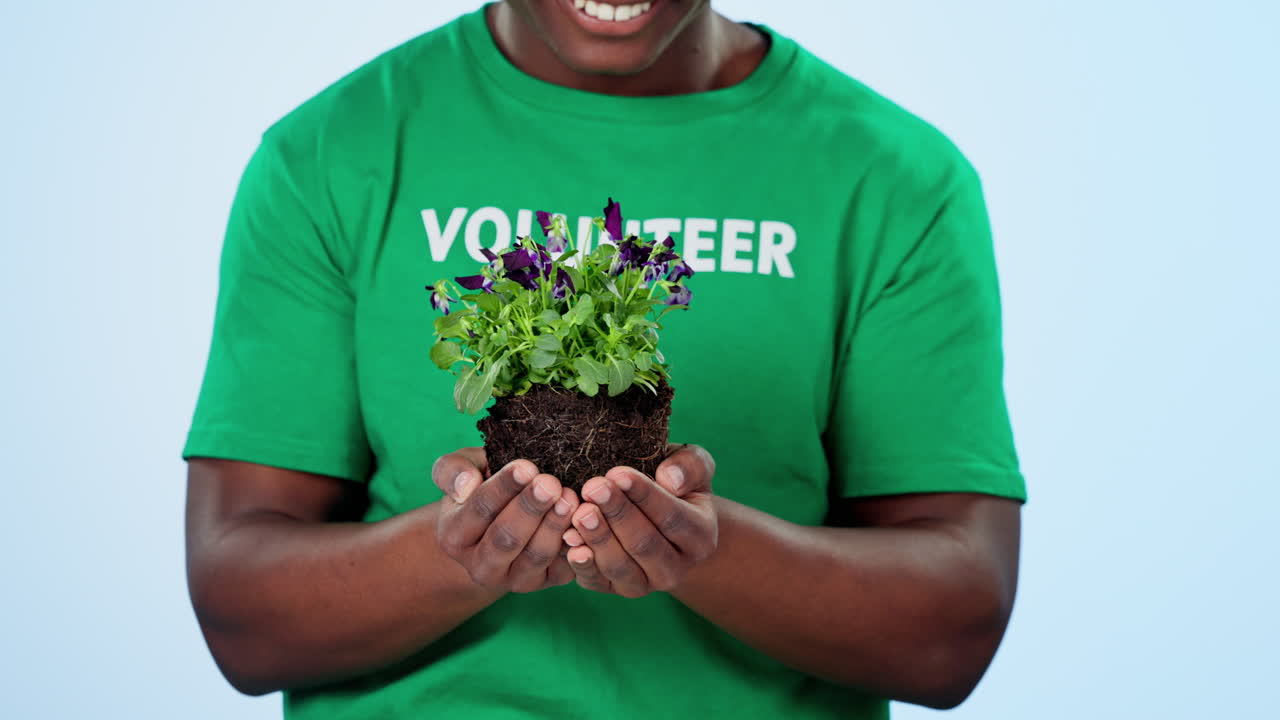 voluntario de estudio, manos y persona con planta