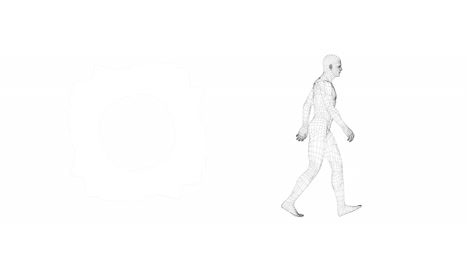animation of digital human walking on white background