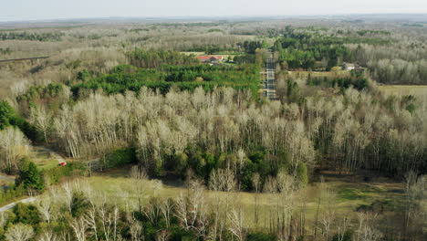 dry yellow and green forest stretching on for miles in the rural countryside