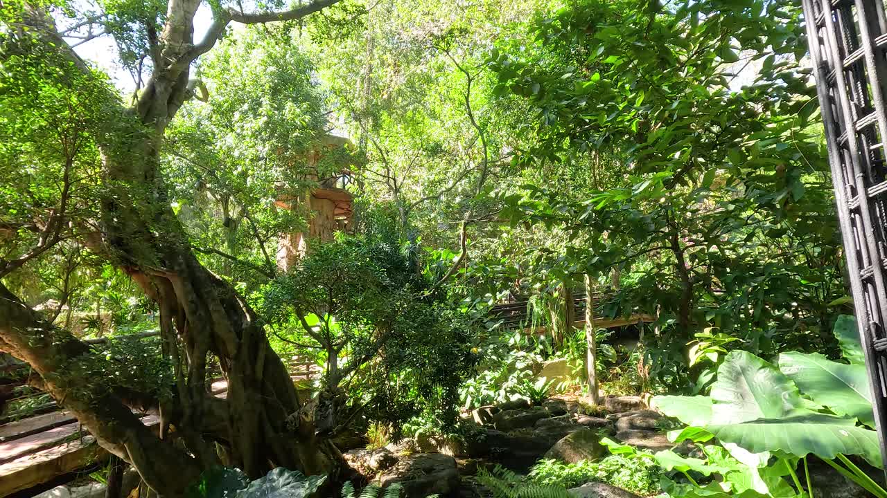 조용한 숲 속 의 울창 한 초록색