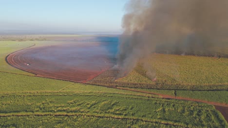 un avión no tripulado revela una quema controlada que maneja las tierras de cultivo de caña de azúcar en sudáfrica