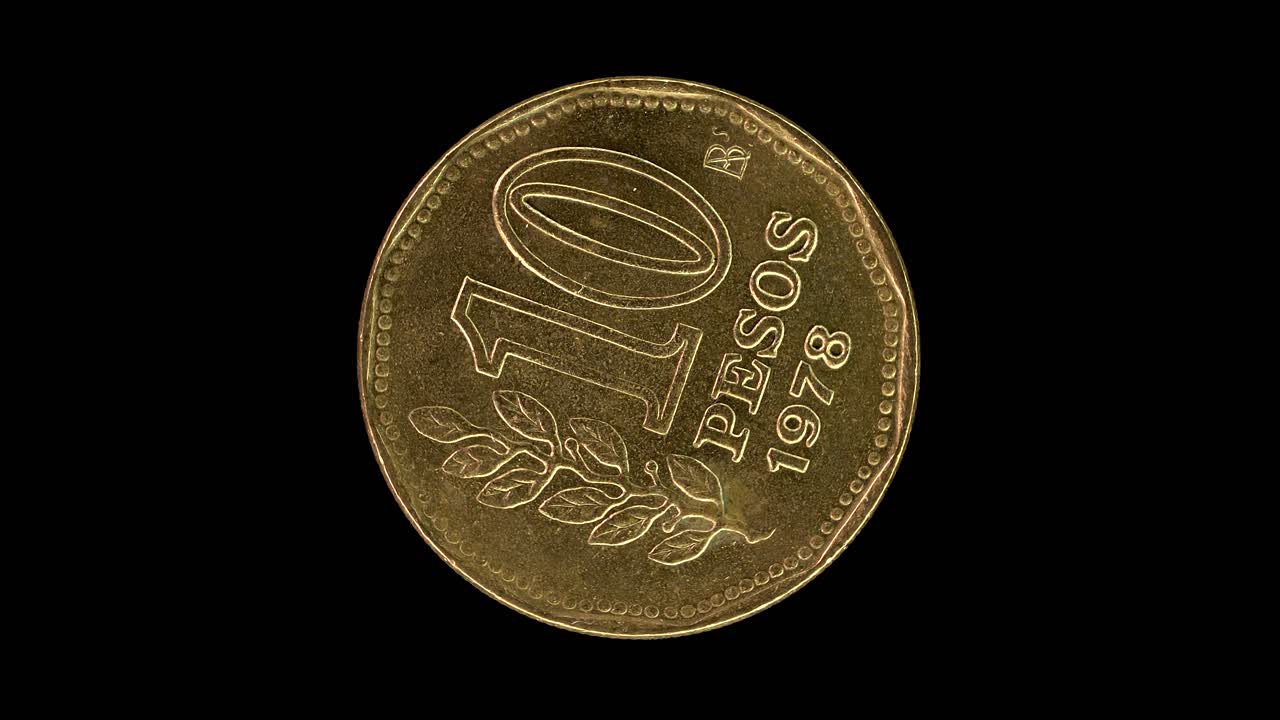 Argentina 1978 10 pesos coin reverse showing olive branch and value rotating on black background