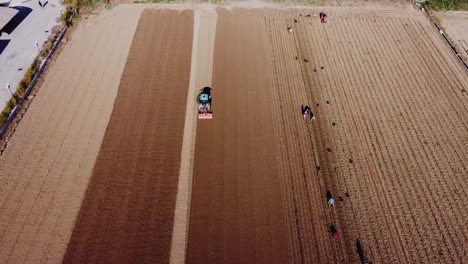 aerial top down shot of tractor and farmer working on wheat field during sunny day - flyover shot