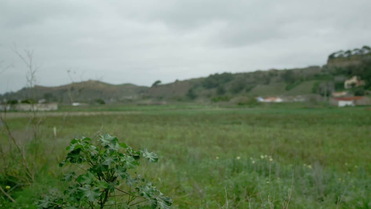 Static shot of a green field in Costa da Caparica.